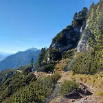 Steinerhaus Berggasthof ホテル
