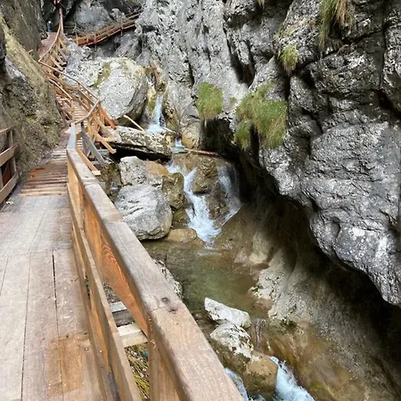 호텔 Steinerhaus Berggasthof 3*