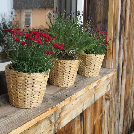 Steinerhaus Berggasthof Hotel 3*