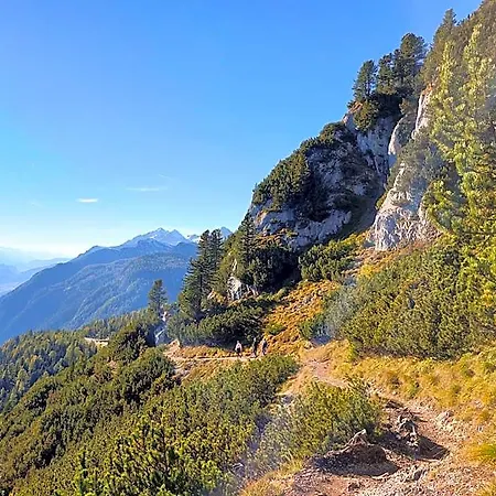 Steinerhaus Berggasthof 3* 그뢰브밍