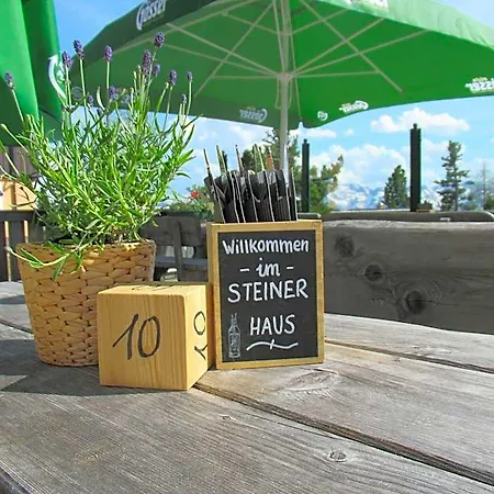 Steinerhaus Berggasthof 3* Grobming