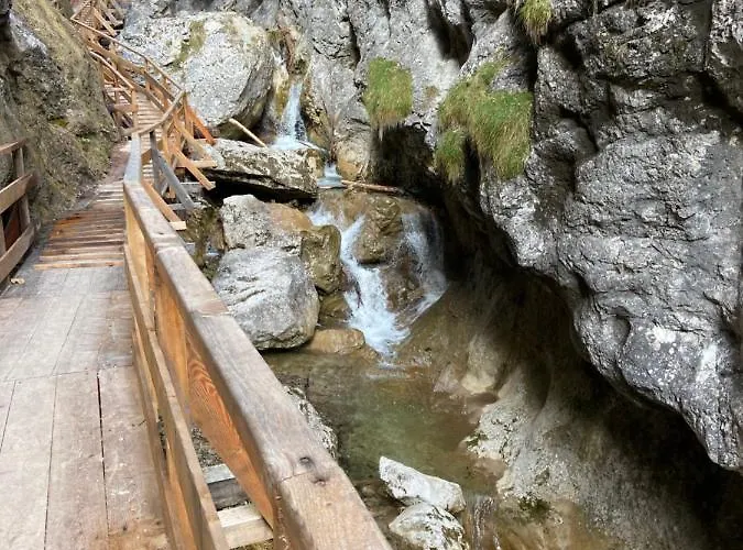 فندق Steinerhaus Berggasthof 3*